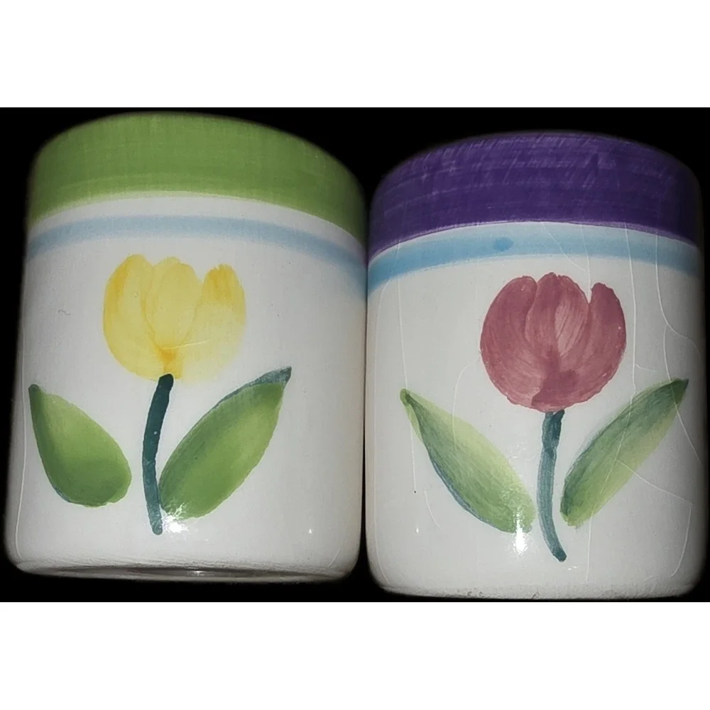 Vintage Tulip Design Cream-Orange & Green Salt And Pepper Shakers